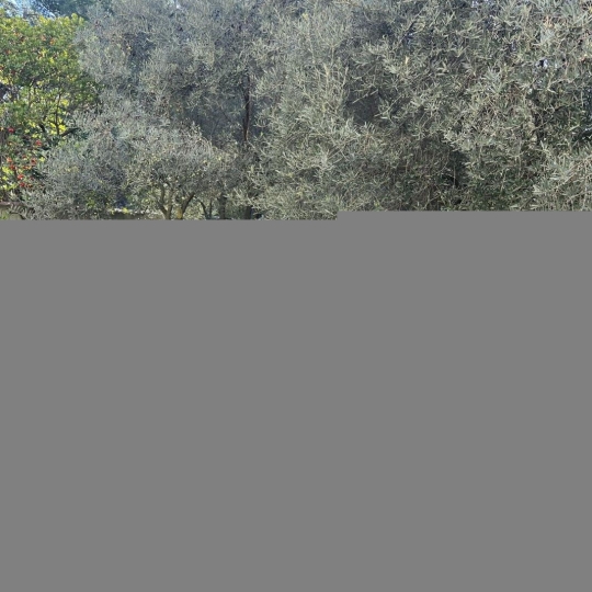 IMMOBILIERE ARTHUR : Maison / Villa | MARSEILLE (13012) | 80.00m2 | 1 650 € 