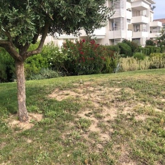 IMMOBILIERE ARTHUR : Apartment | PLAN-DE-CUQUES (13380) | 45.00m2 | 1 050 € 