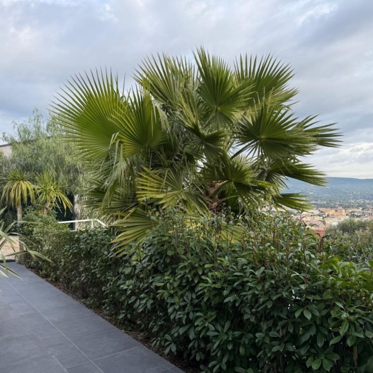  IMMOBILIERE ARTHUR : Maison / Villa | LA CIOTAT (13600) | 141 m2 | 1 540 000 &euro; 