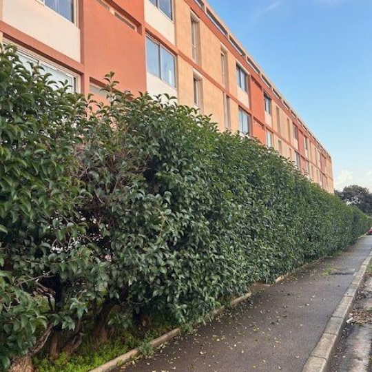 IMMOBILIERE ARTHUR : Appartement | MARSEILLE (13012) | 57.00m2 | 890 € 
