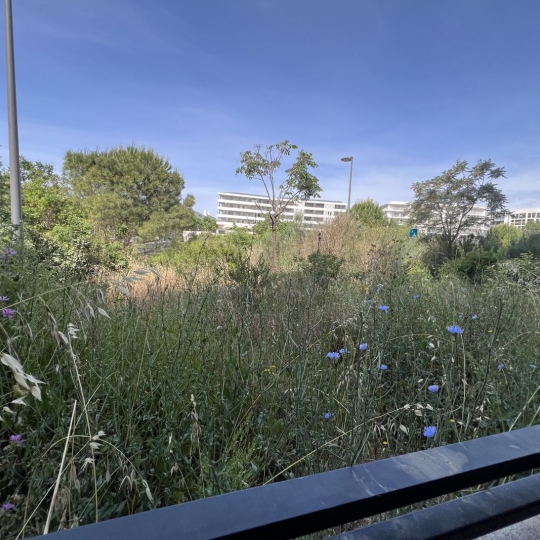  IMMOBILIERE ARTHUR : Appartement | MARSEILLE (13014) | 58 m2 | 165 000 € 