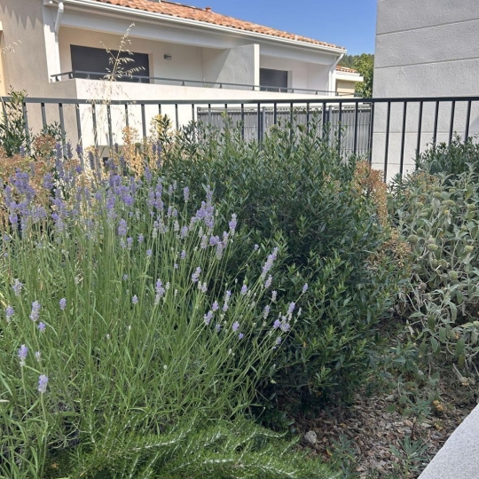  IMMOBILIERE ARTHUR : Appartement | MARSEILLE (13011) | 61 m2 | 345 000 € 