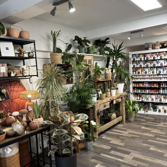  IMMOBILIERE ARTHUR : Commercial | PLAN-DE-CUQUES (13380) | 90 m2 | 128 000 &euro; 