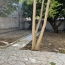 IMMOBILIERE ARTHUR : Local / Bureau | MARSEILLE (13012) | 235 m2 | 4 000 € 