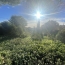  IMMOBILIERE ARTHUR : Terrain | MARSEILLE (13013) | 0 m2 | 320 000 € 