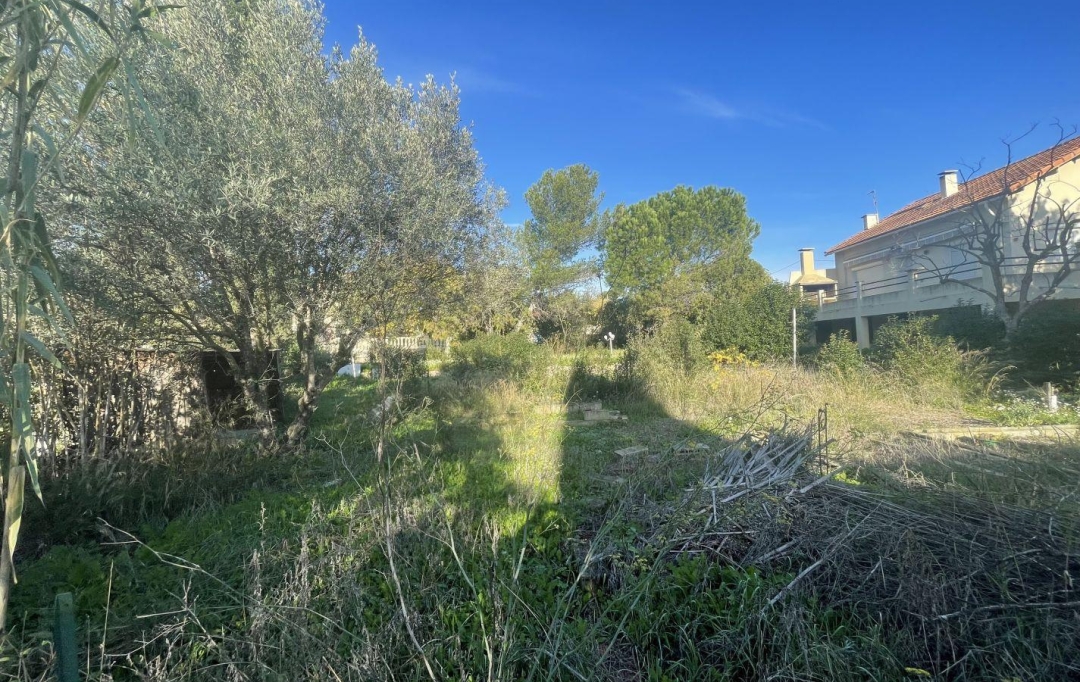 IMMOBILIERE ARTHUR : Terrain | MARSEILLE (13013) | 0 m2 | 320 000 € 