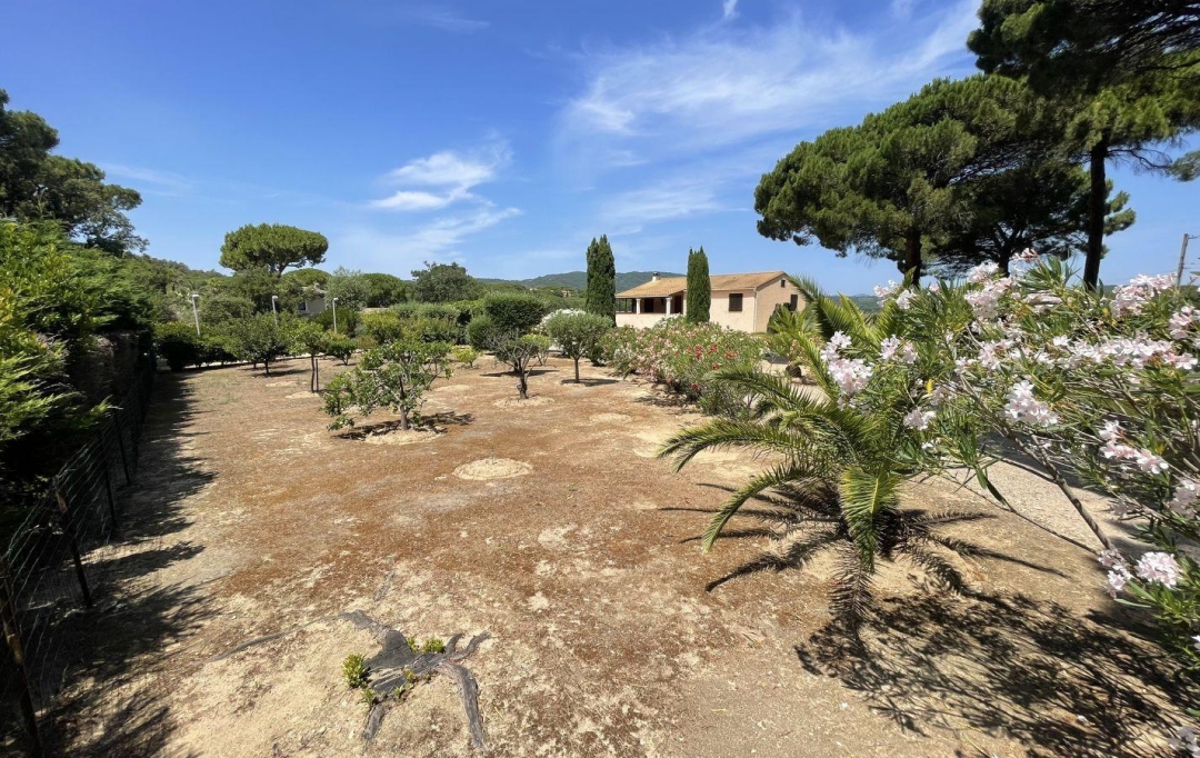 IMMOBILIERE ARTHUR : Domaines / Propriétés | RAMATUELLE (83350) | 130 m2 | 2 700 000 € 