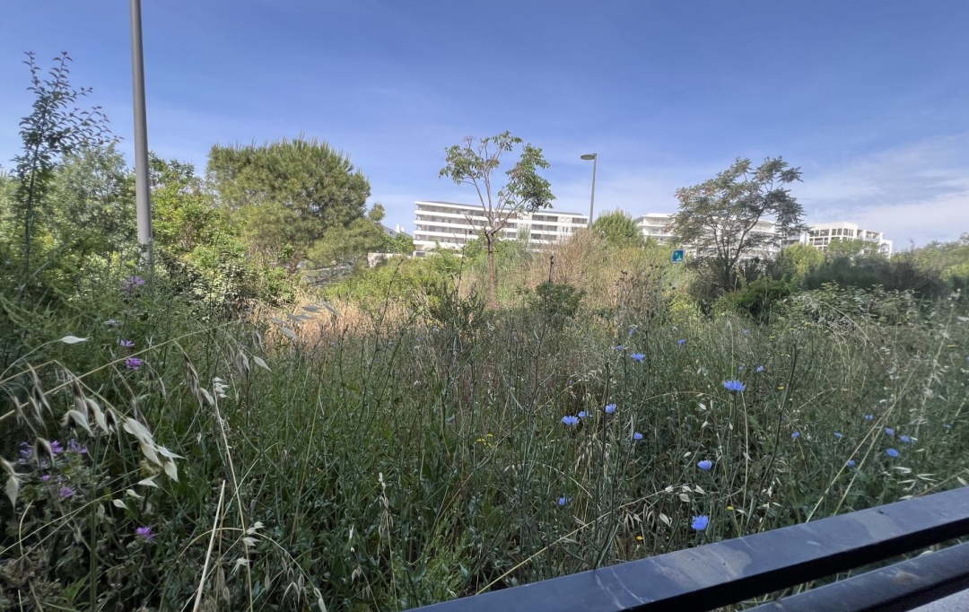 IMMOBILIERE ARTHUR : Appartement | MARSEILLE (13014) | 58 m2 | 165 000 € 
