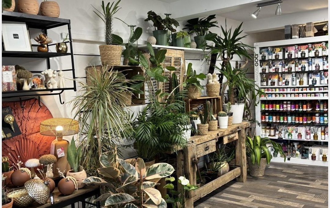 IMMOBILIERE ARTHUR : Commercial | PLAN-DE-CUQUES (13380) | 90 m2 | 128 000 &euro; 