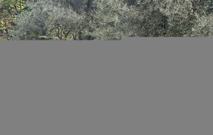 Maison   MARSEILLE  80 m2 1 650 € 