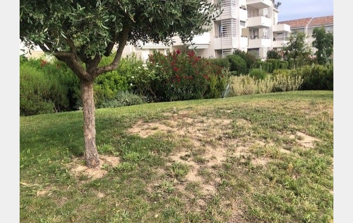  IMMOBILIERE ARTHUR Apartment | PLAN-DE-CUQUES (13380) | 45 m2 | 1 050 € 