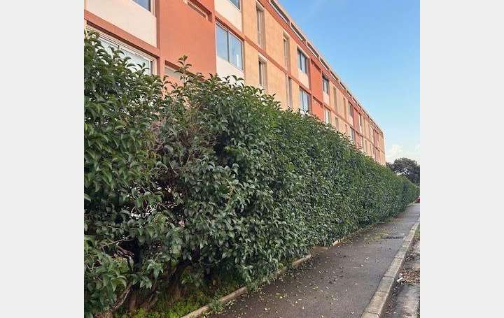  IMMOBILIERE ARTHUR Appartement | MARSEILLE (13012) | 57 m2 | 890 € 